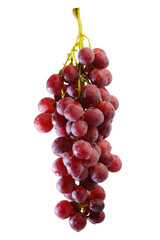 bunches of Summer fresh red grape with white isolate background