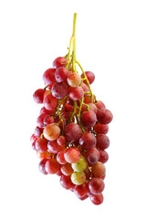 bunches of Summer fresh red grape with white isolate background