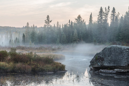 Misty morning over the lake in Algonquin Park in autumn