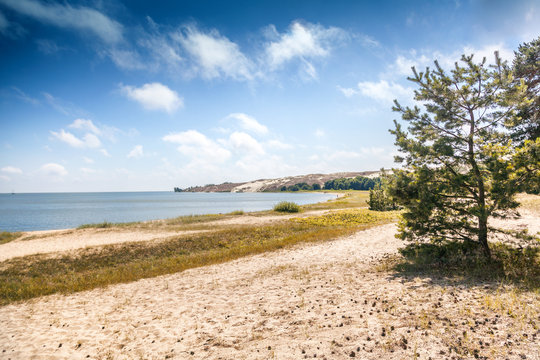 White Sand Dunes on the Baltic Sea, Nida, Lithuania