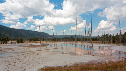 Opalescent Pool hot spring in the Black Sand Basin in Yellowstone National Park in Wyoming USA