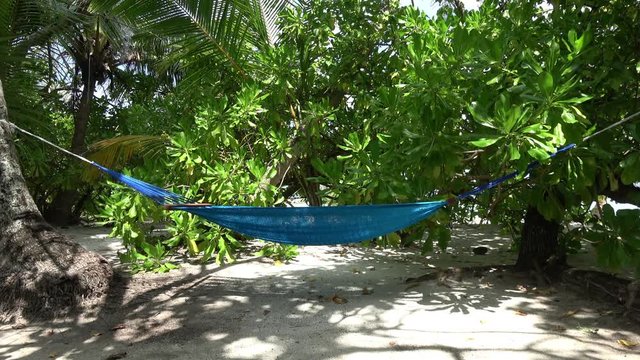 eine blaue H&auml;ngematte h&auml;ngt zwischen Palmen, ein perfekter Platz zum ausruhen