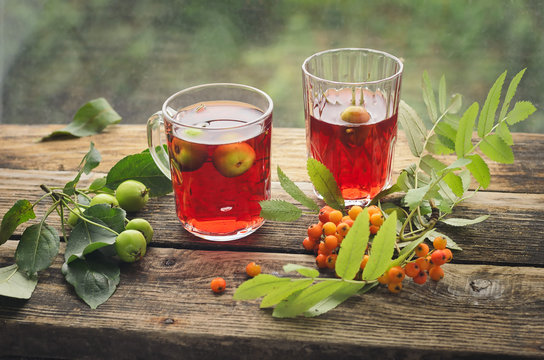 Vitamin tea with red mountain ash and green wounds