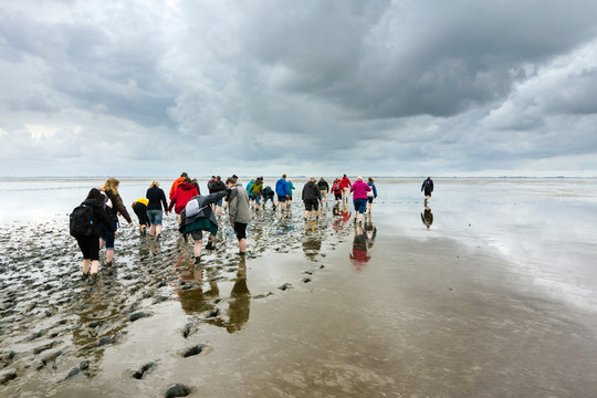 Wattwanderung im Schlick an der Nordseek&uuml;ste, Weltnaturerbe, Ostfrieland, Deutschland