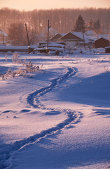 Footpath traces in the snow in russian  Altai village in Winter at morning time