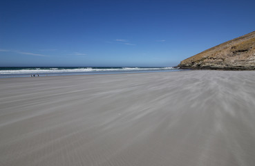 Fototapeta na wymiar Landscape Falklands (Malvinas)
