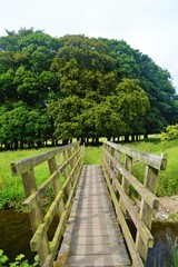 A wooden footbridge in the Yorkshire countryside.