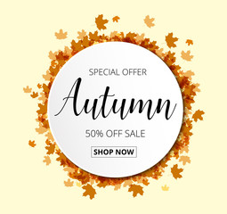 Colorful autumn leaves and sale text. Fall season background. Vector illustration EPS10.