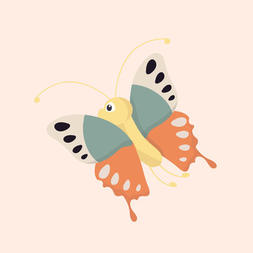 Cartoon Butterfly Character.