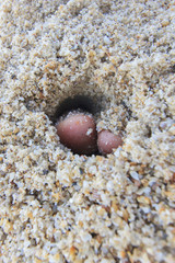 toe in sand for naturopathy
