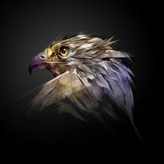 the head of a hawk on a black background