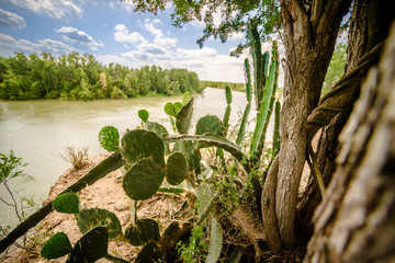 rio grande texas usa mexico border - obrazy, fototapety, plakaty