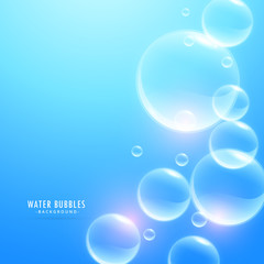 shiny water bubbles on blue background
