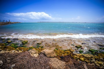 coastal landscape near padre island texas