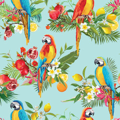 Fruits tropicaux, fleurs et oiseaux perroquets fond transparent. Motif d& 39 été rétro en vecteur