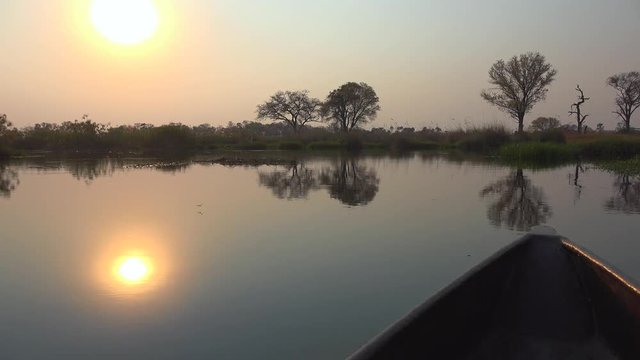 Safari in a Mokoro through the Okavango Delta (4K footage)