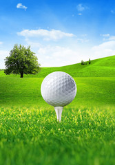 Golf ball and tee on green meadow