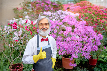 Hobby and Profession. Portrait of Handsome gardener. Senior bearded man showing thumb up at greenhouse full of flowers.