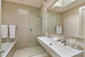 A modern bathroom with a shower area and a bathtub including a wall mirror