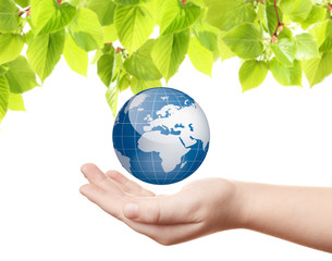 Green foliage frame on white background. Space for text.