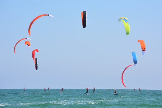 Festikite