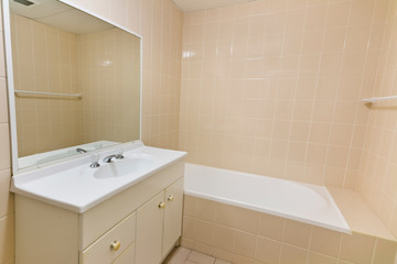 A modern bathroom with a shower area and a bathtub including a wall mirror