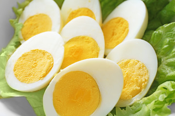 Sliced hard boiled eggs with lettuce, closeup. Nutrition concept