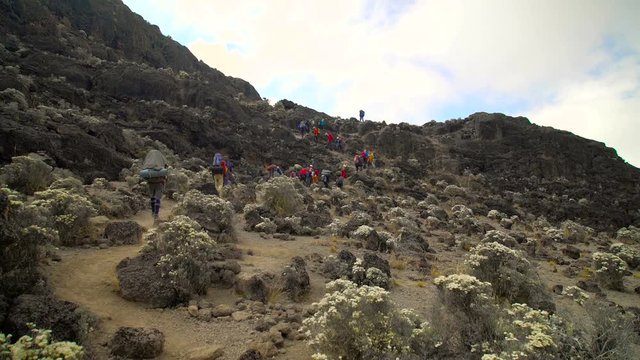 Porters and group of people climbing the Barranco Wall. Barranco. Wall Mt Kilimanjaro. Africa. Tanzania. Track on Kilimanjaro on the Machame Route