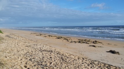 Good Morning Atlantic