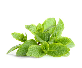 Fresh lemon balm leaves on white background © Africa Studio