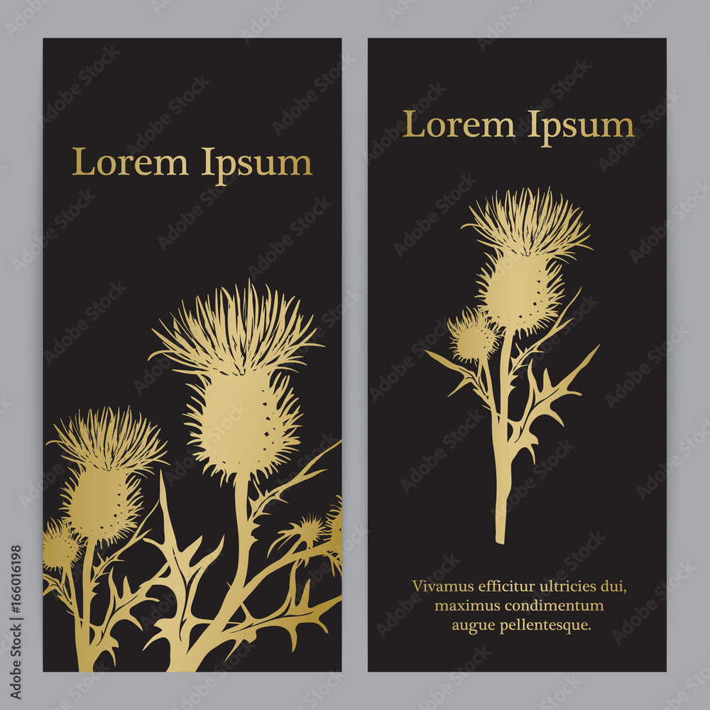 Canvas Prints decorative vector thistle (carduus acanthoides) silhouette