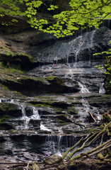 Fototapeta premium Wasserfall