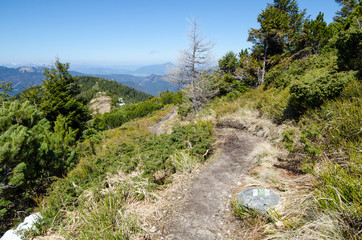 Fototapeta na wymiar Trail from Magurka to Mestská hora (1529 m), Nízke Tatry (Low Tatras), Slovakia