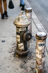 Fototapeta premium Hydrant