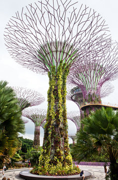 Jardin public a Singapour