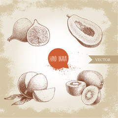 Hand drawn exotic fruits set. Fig fruit, papaya cut with seeds, mango and kiwi fruits. Eco food sketch vector illustration on old background.
