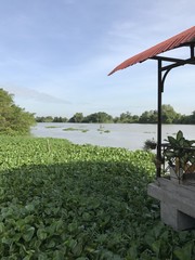 Saigon river - 166020920
