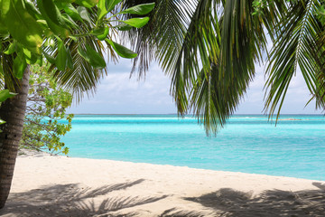 Fototapeta na wymiar View of beautiful beach with tropical palms at resort