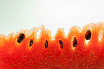 Row of watermelon seeds in the pulp