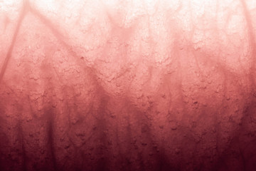 Texture of the pulp of watermelon. Enlarged, visible veins