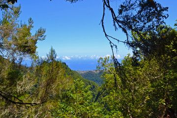 View of a levada from an hiking trail. Fantastic trekking footpath in levada.