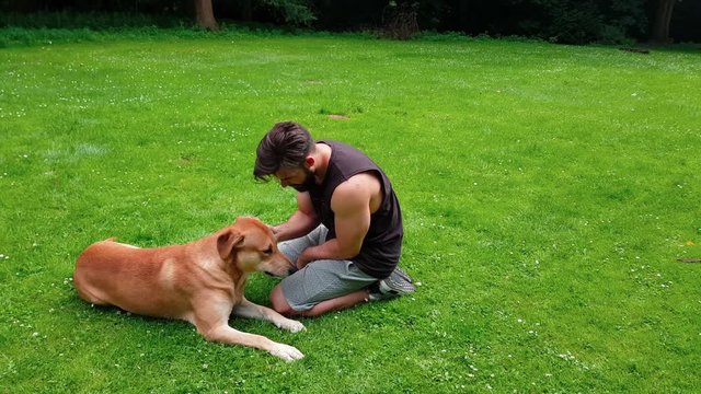 Junger Mann kuschelt im Park mit seinem Hund und f&uuml;ttert ihn, Labrador