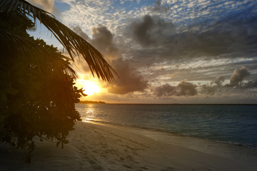 View of beautiful tropical beach at sunset