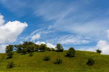 Fototapeta na wymiar Green grass hill with small shrubs near Talsi lake