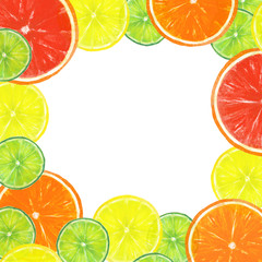 Citrus fruits frame