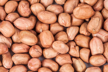 ground nut or peanut on black background
