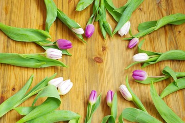 Holzhintergrund mit Tulpen