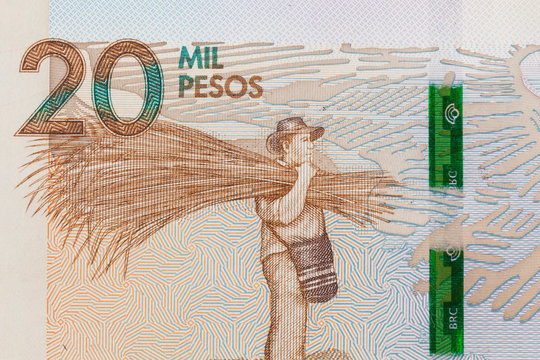 Farmer carrying Gynerium sagittatum on the twenty thousand Colombian pesos bill