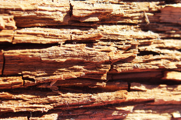 wood texture