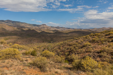 Scenic Arizona Desert Landscape